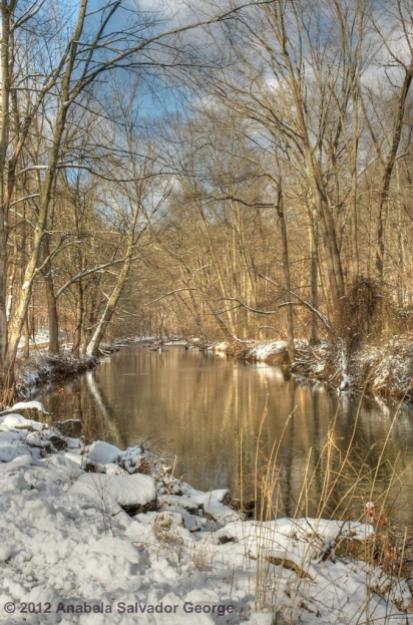 Ridley Creek State Park in the Snow